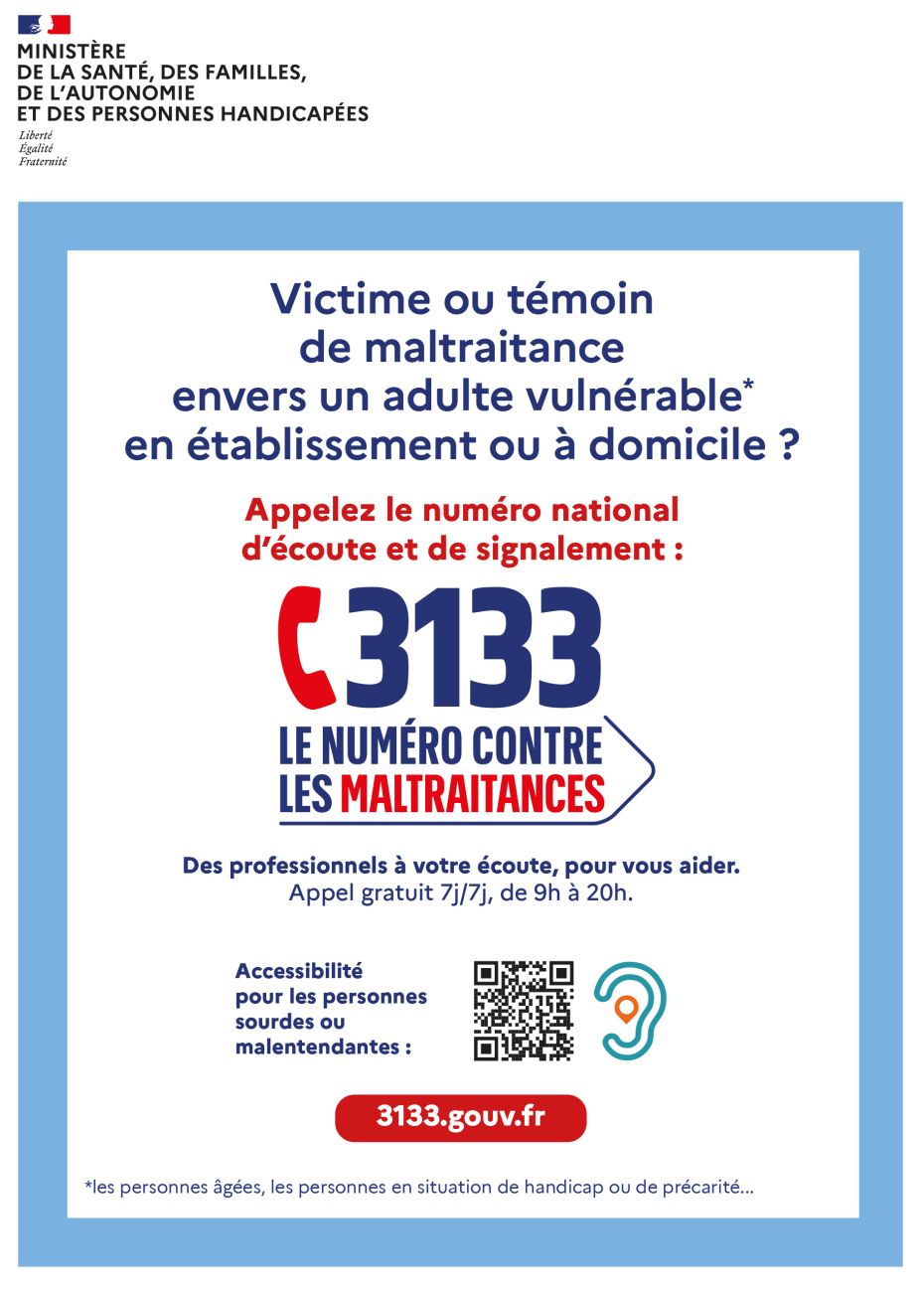 3133 Flyer 1
